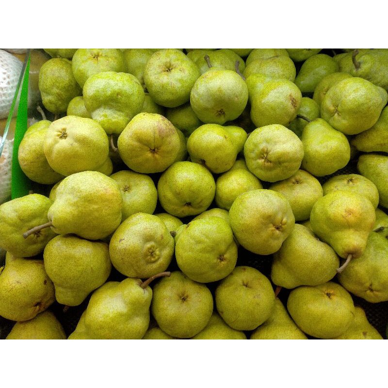 

pear pakam