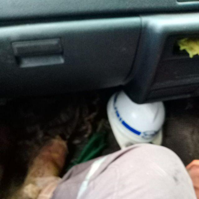 Akar Bahar Original Asli Bonggol Berbatu Alami Bahan Lentur Murah Meriah Berkualitas.