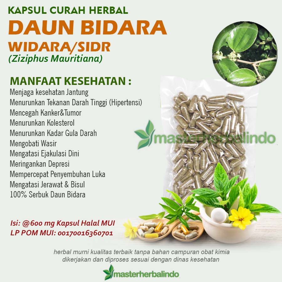 DAUN BIDARA 100 Kapsul Curah Herbal Ambeien Ejakulasi D1ni Depresi DNA