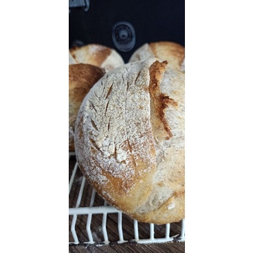 Sourdough plain, roti gandum sehat-3