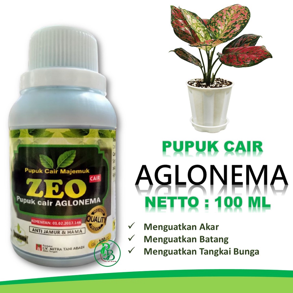 TERBAIK Pupuk Daun Nema Grow Cocok Untuk Aglonema, Pupuk Bunga Aglonema Terbaik
