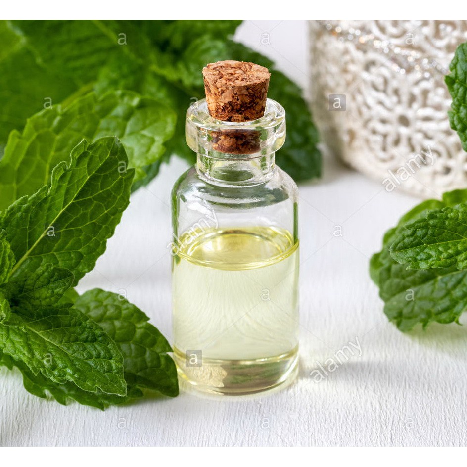 Peppermint Essential Oil Minyak Atsiri Murni Daun Mint