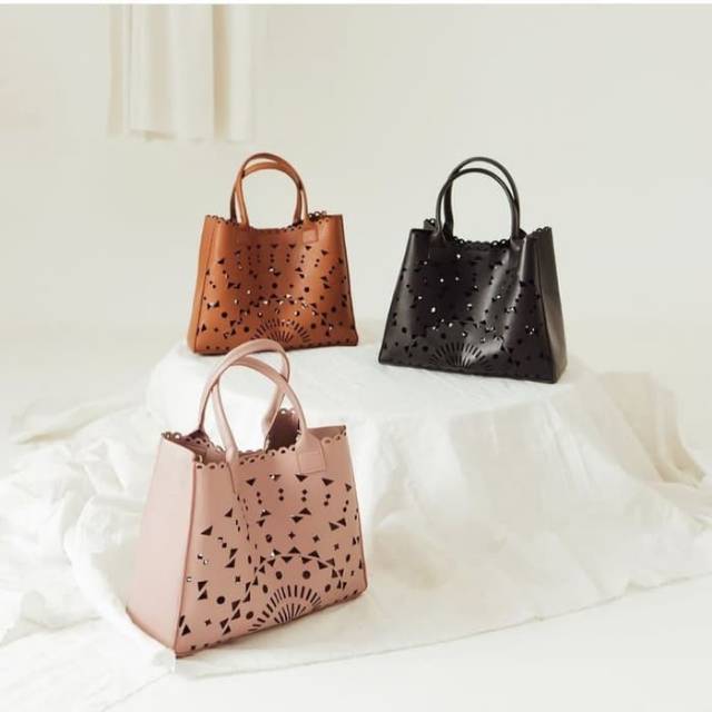 Protea x Patricia Stephanie