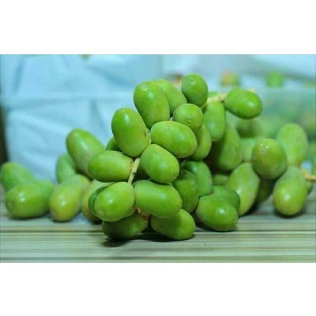 

13 JUN 22 KURMA MUDA HIJAU 500GR MEDAN / KURMA MUDA POSITIF HAMIL