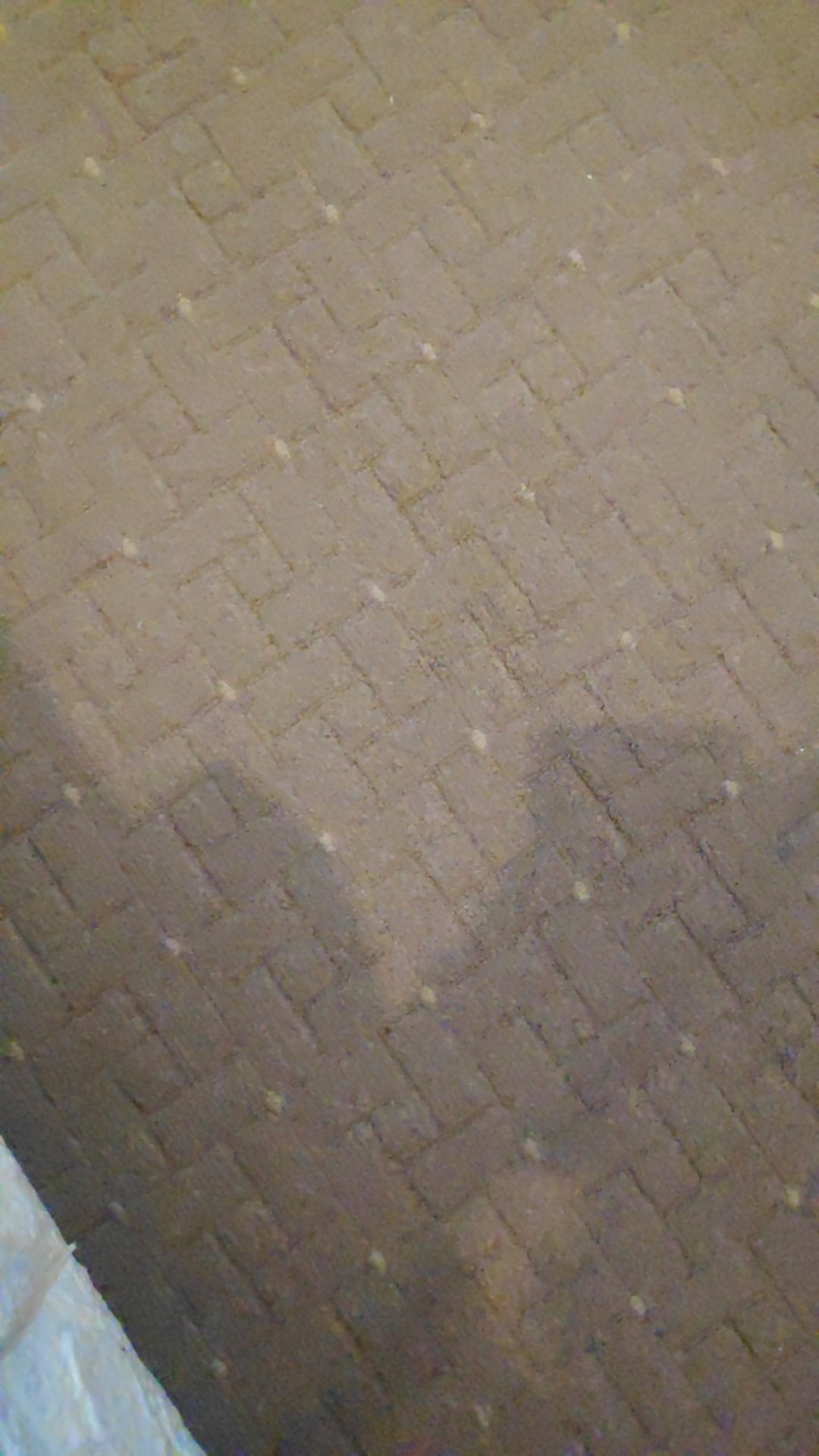 Pipa Pvc Trilliun D 1 1/2 Inch