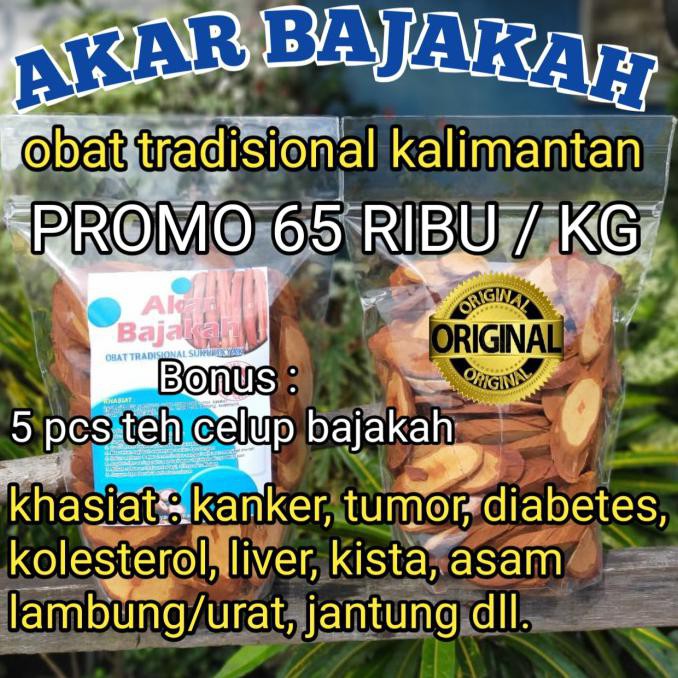 

Akar Bajakah/Bajakah Kalalawit 100% Asli Kalimantan Barat