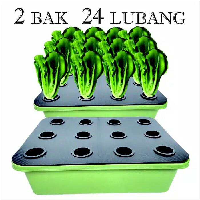 

24 LUBANG HIDROPONIK PALING KOMPLIT