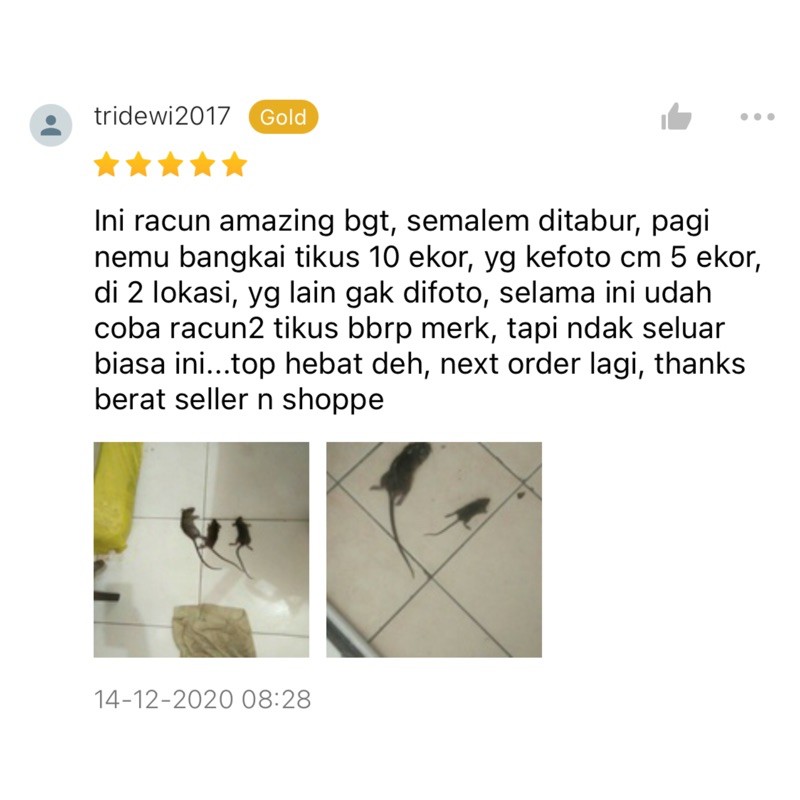 RACUN TIKUS MAO WANG AMPUH - anti tikus pembunuh tikus pembasmi tikus maowang