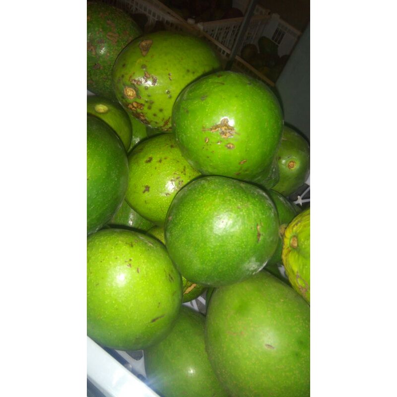 

apukat mentega