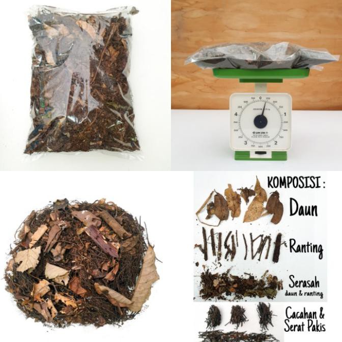 Favorit] Media Tanam Andam Premium Humus Hutan Alami 200 Gram Kompos Organik