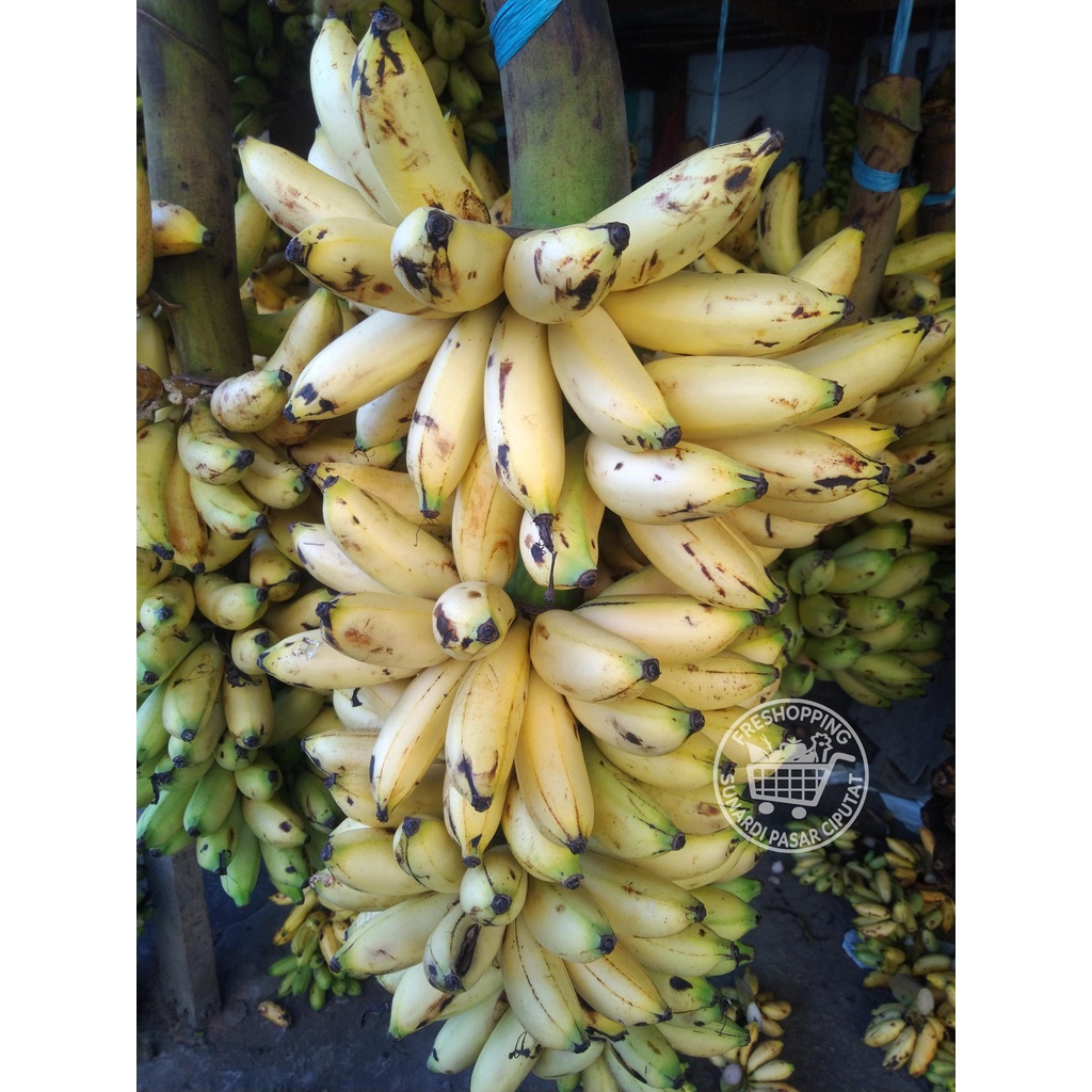 Pisang lampung 1 sisir