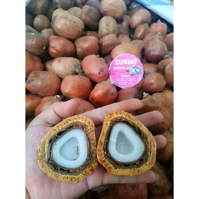 Buah Zuriat 1/2kg