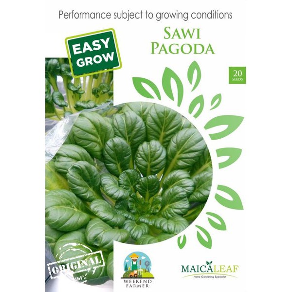 Benih Sawi Pagoda/Bibit Sawi Pagoda isi 20 Benih