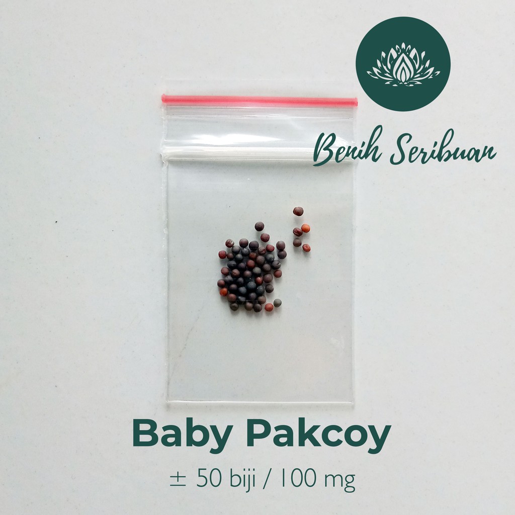 50 Bibit Sawi Baby Pakcoy Nai Bai Benih Sayuran Mini Toy Choy Known You Seed - Tanaman Sayur Unggul