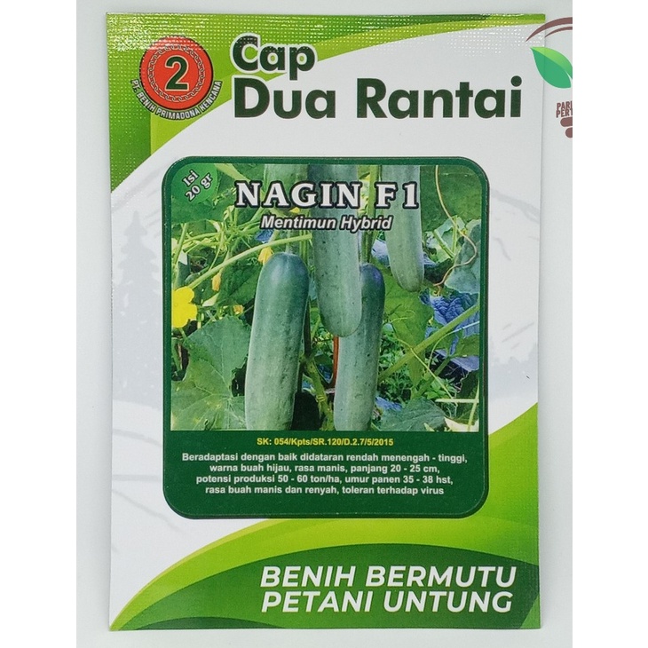 Benih Bibit Biji Super Timun Mentimun Nagin F1 Toleran Virus