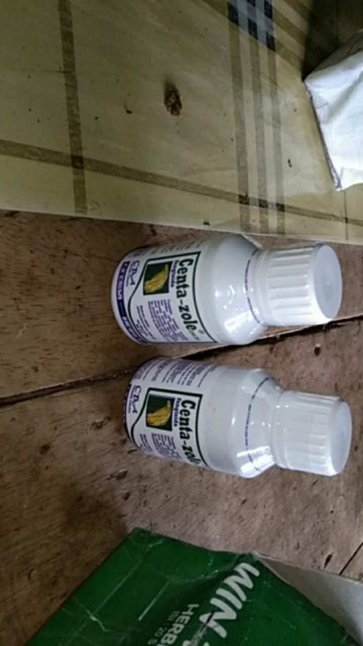 Fungisida Centazole 250 Ec 80 Ml