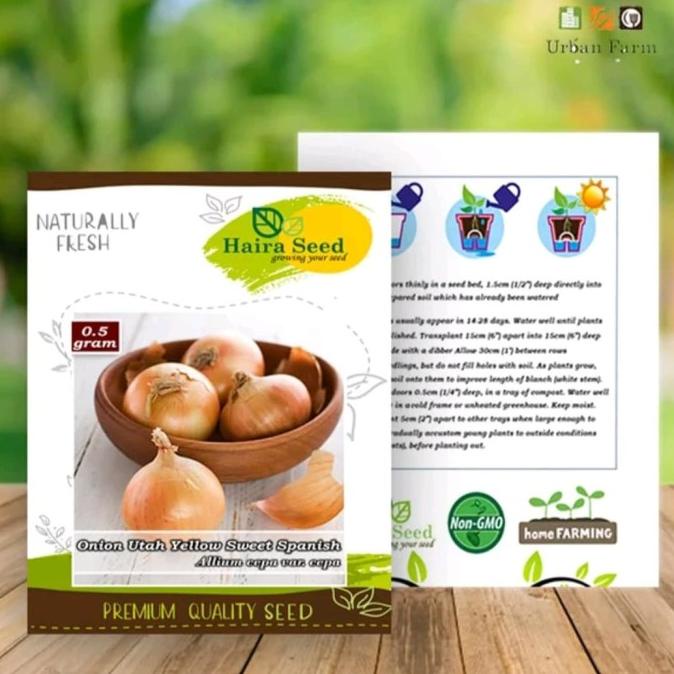 

hanya disini] Bawang Bombay