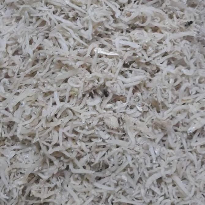 

Teri Nasi Medan 1 kg ---Terbaru---