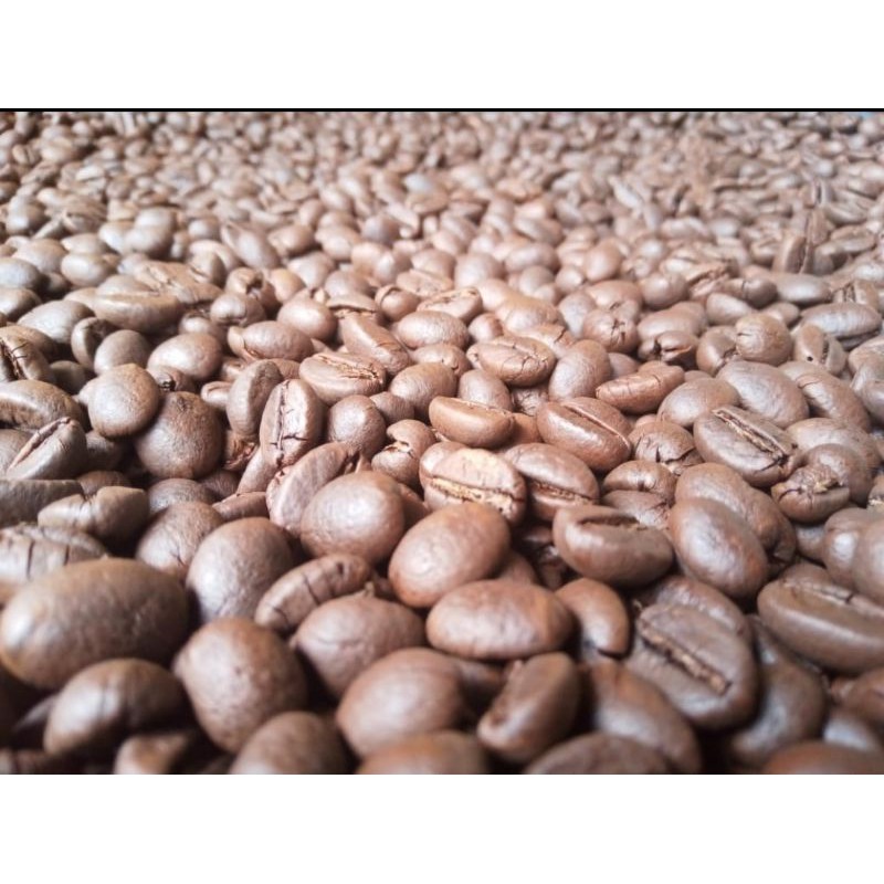 

kopi lampung