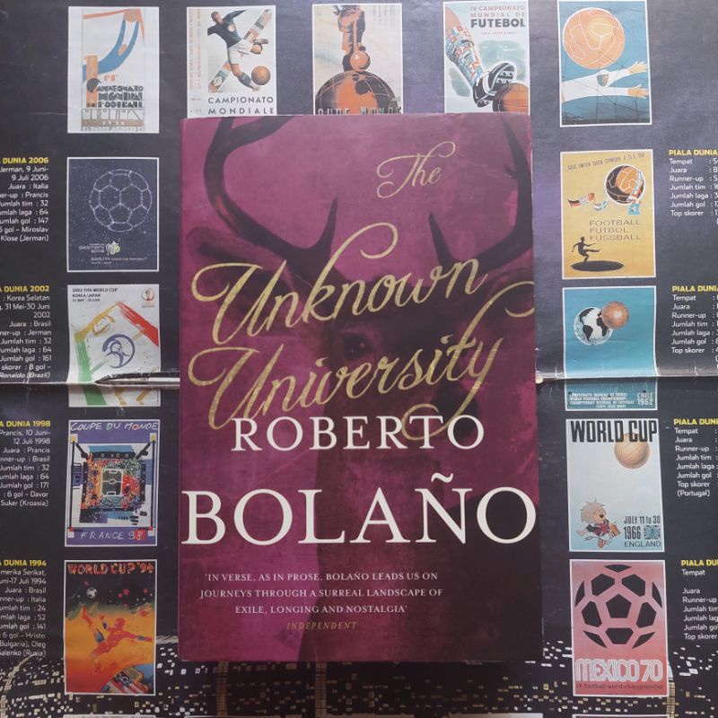 The Unknown University by Roberto Bolano