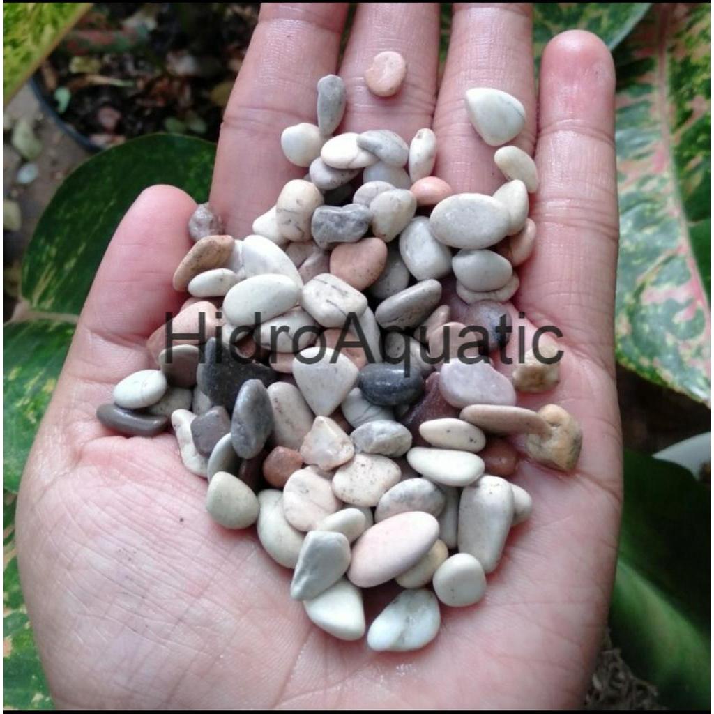 Batu Pancawarna / Batu Mix - 500gram Hiasan aquarium dan Hiasan pot tanaman