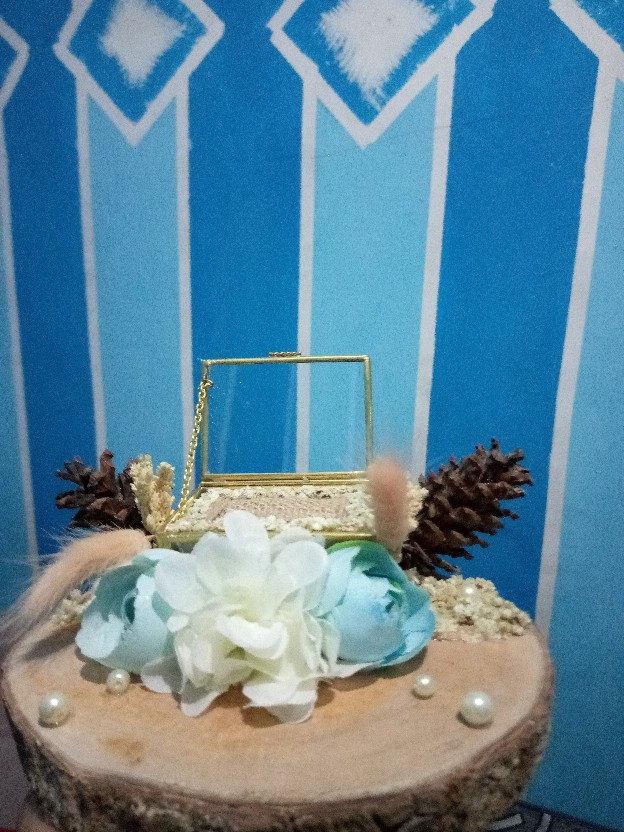 Ringbox Terarium Kotak K03