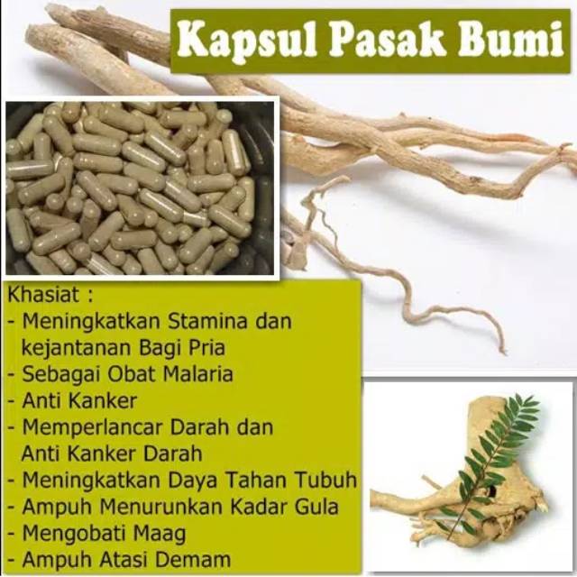 Kapsul Pasak Bumi Obat Jamu Herbal Kuat Pria Tongkat Ali perkapsul