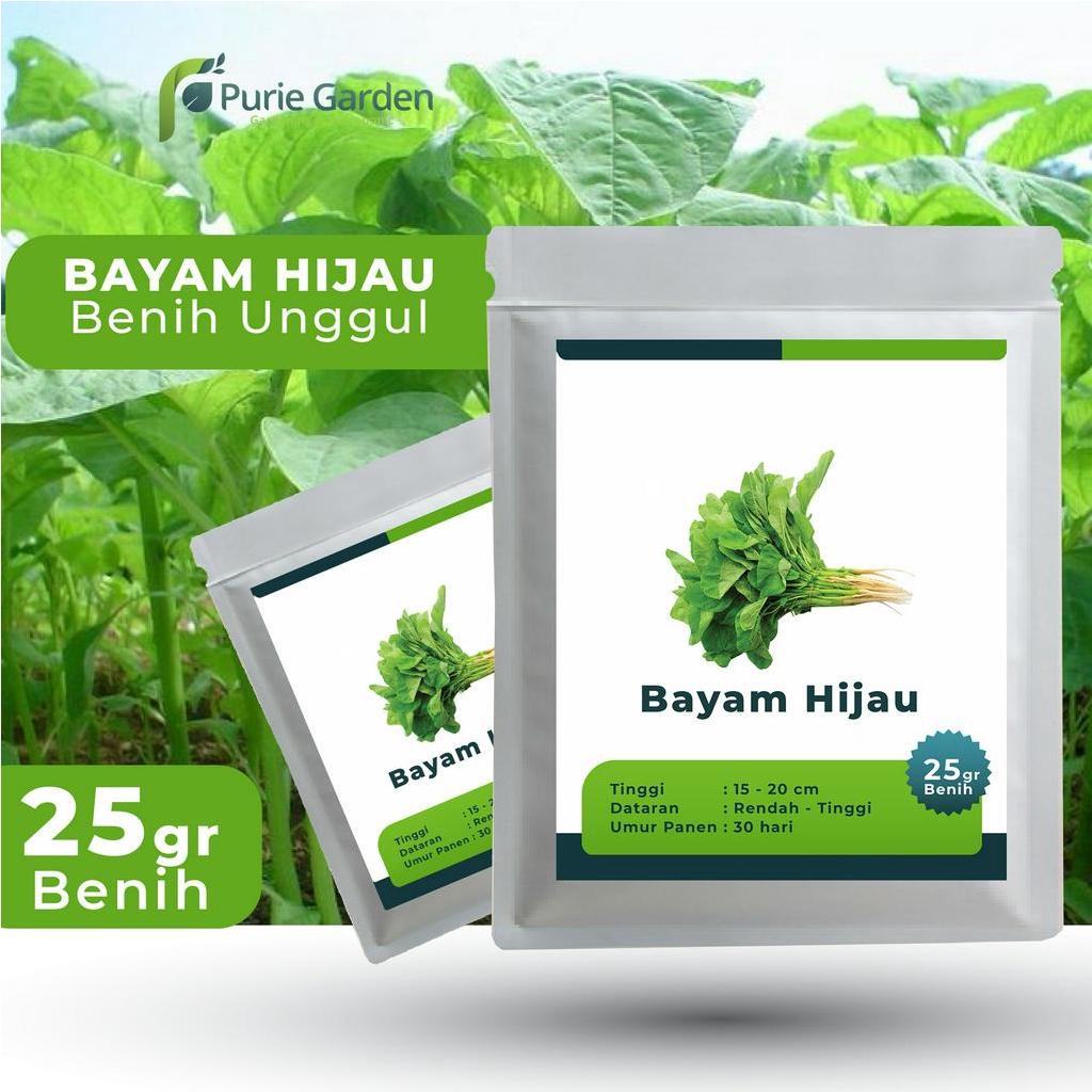 Benih Bibit Biji Unggul Bayam Hijau 25gr PG KDR