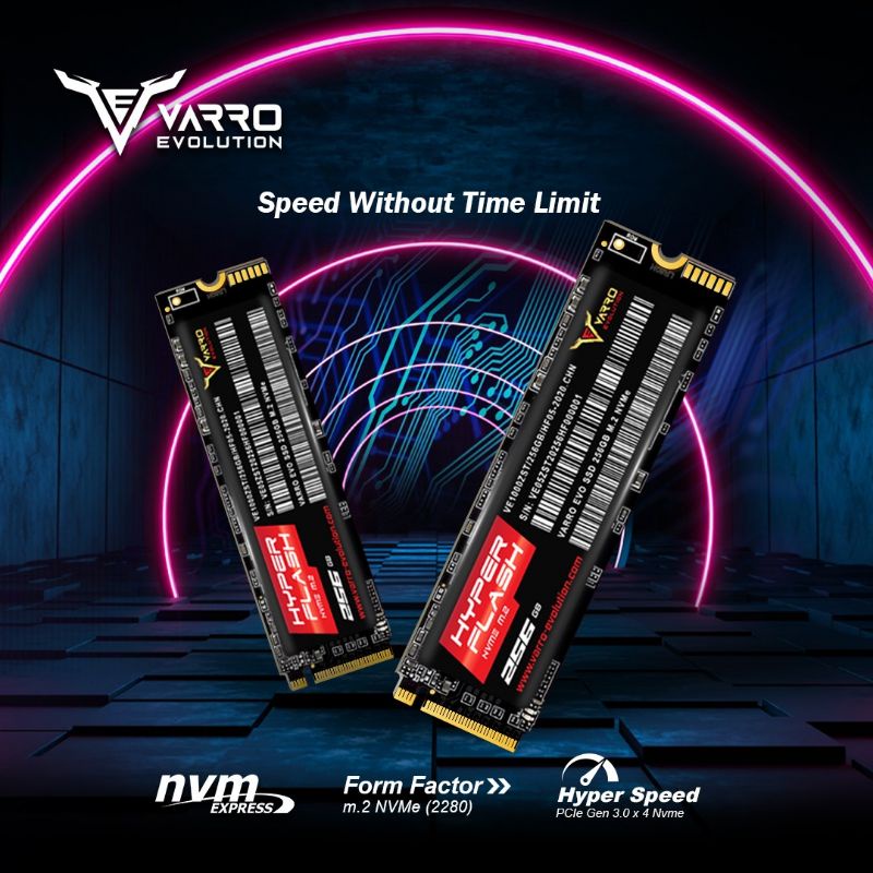 SSD M2 NVME 256GB VARRO