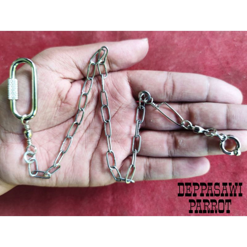 Rantai burung nuri stainless stell