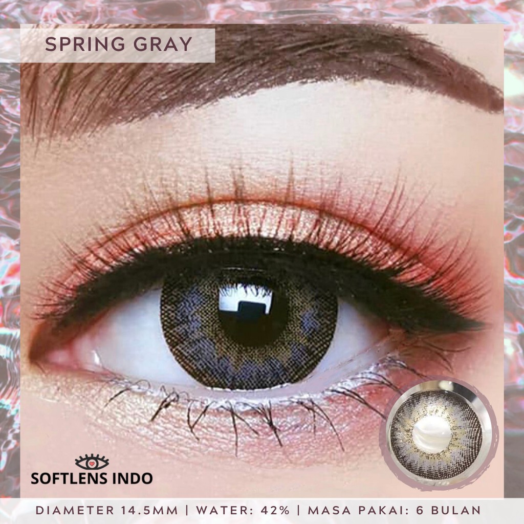 Softlens Spring by Dreamcolor1 DC1 Gray Brown Normal Minus kontak Lensa botol