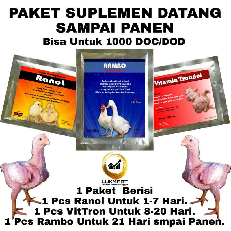 460 Contoh Gambar Unggas HD