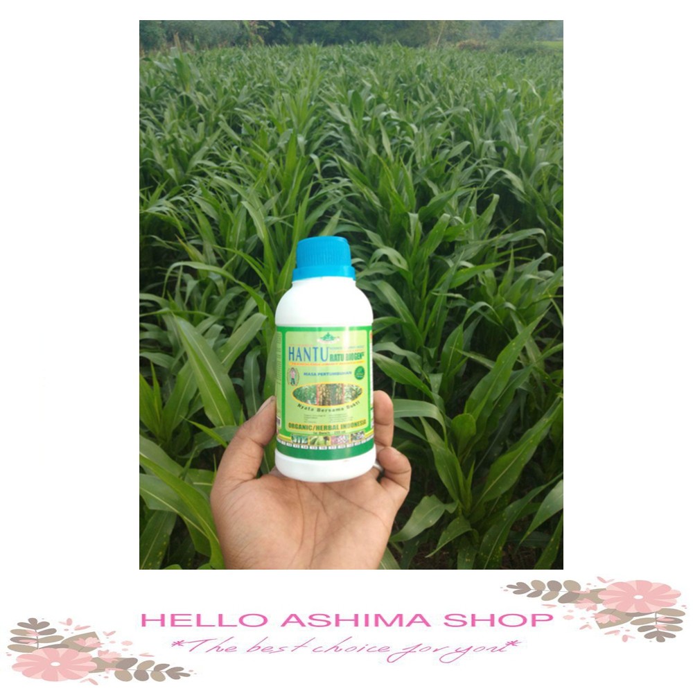 pupuk Anggrek - Pupuk Cair Jimmy Hantu SL - 250 ML Multiguna Exclusif