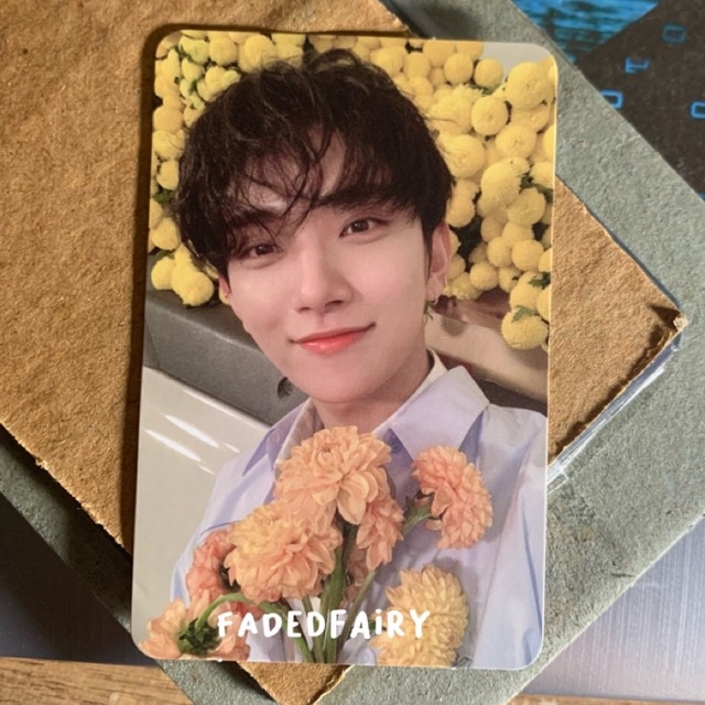 joshua your choice other side bunga photocard pc