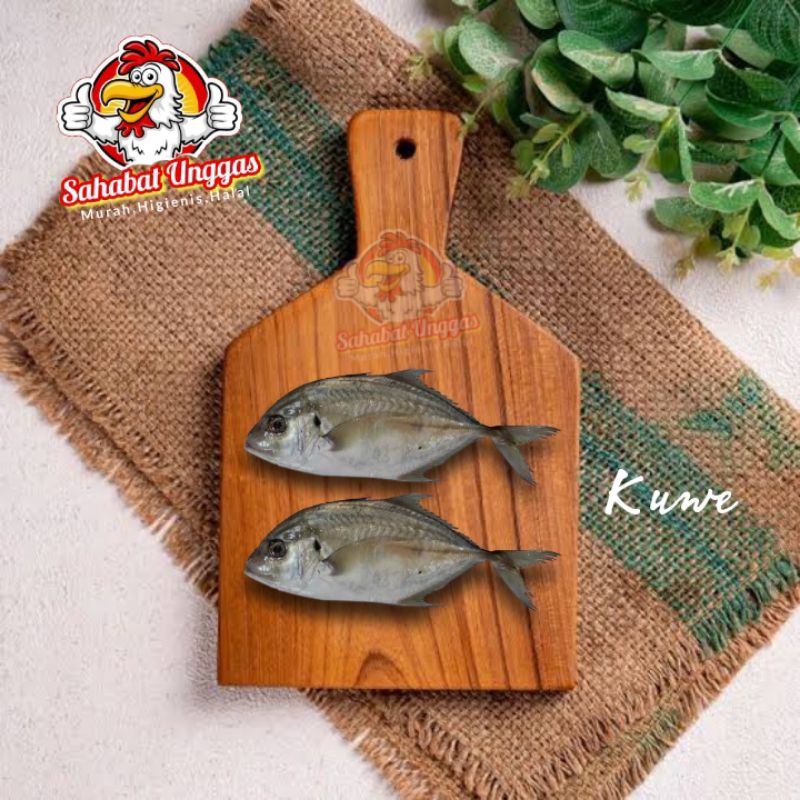 

Ikan Kuwe 500gr