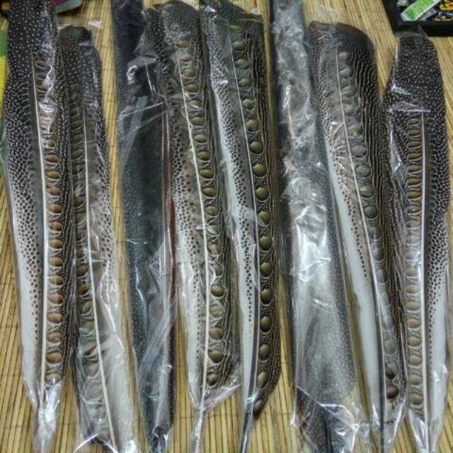 Bulu Burung Ruai Asli Panjang 70 80 Cm Shopee Indonesia