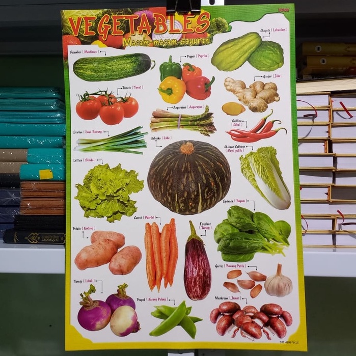 Poster Belajar Aneka Macam Sayuran / Poster Sayur