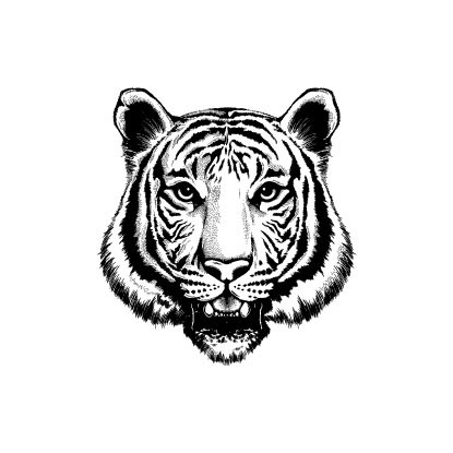 

POTATOO Tiger Head Temporary Tatto Sticker