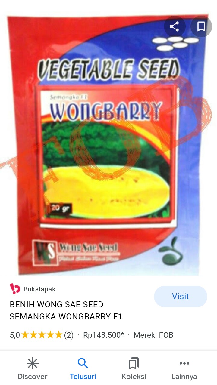 Benih Semangka Kuning Wongbarry @ 20gr