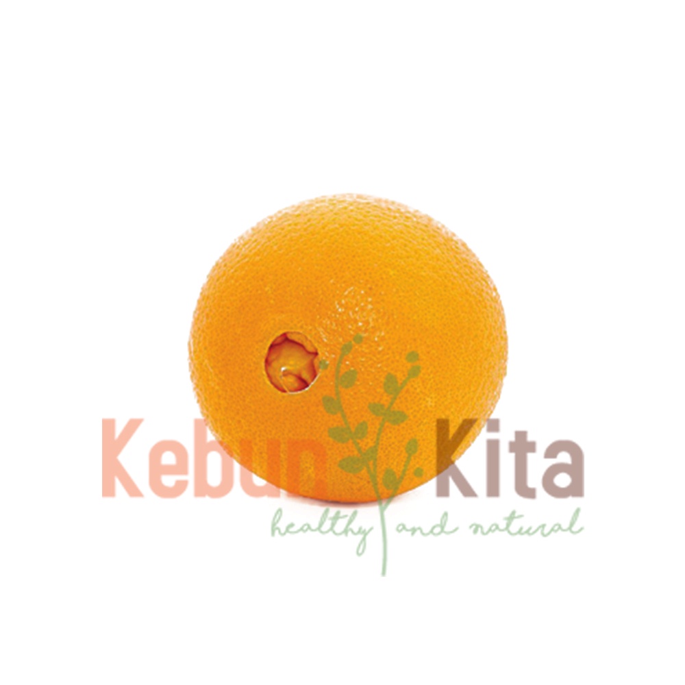 

Jeruk - Navel Orange [ 4 pcs ]