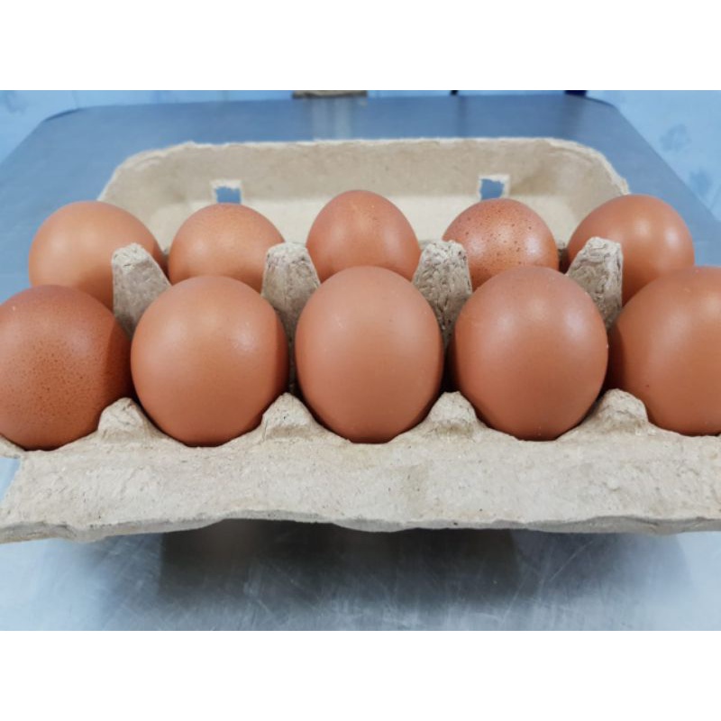 

RB Telur Ayam Negeri Fresh per 10 Butir/Box