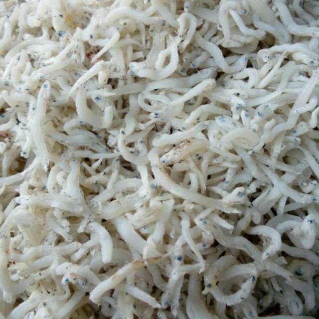 

Teri nasi super