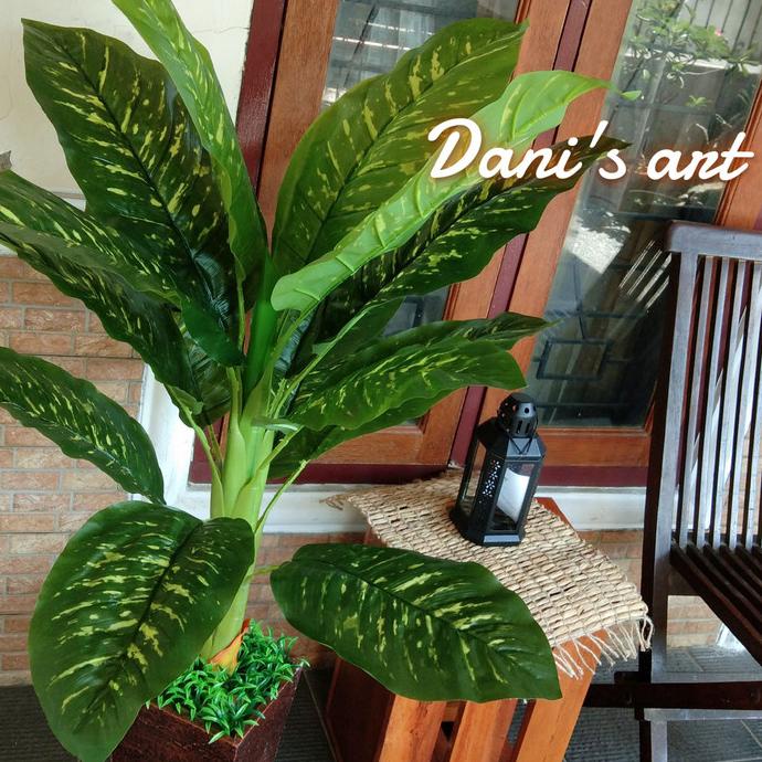 Tanaman aglonema / sri rejeki jumbo/ tanaman plastik/ tanaman palsu