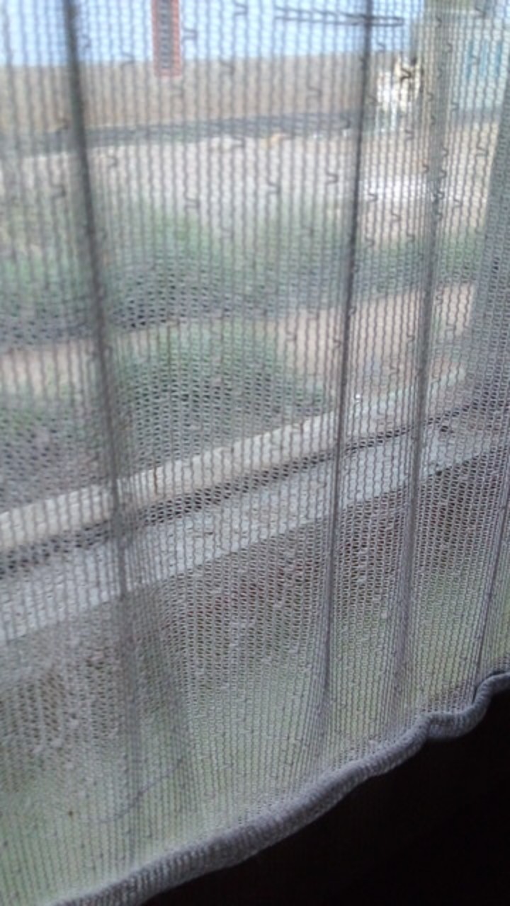 Selimut Premium Merk Everest = 2 Ply  - Saint Michael Ukuran 210 X 240 Cm Tebal & Berat  3,44 Kg