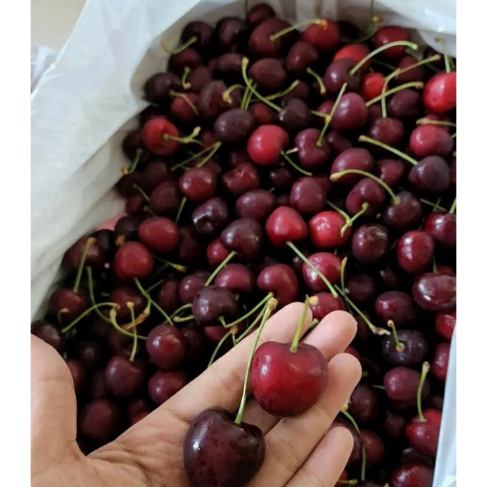 Jual BUAH SEGAR Cherry Ceri Cery Import Kemasan Pack 250gr Manis ...