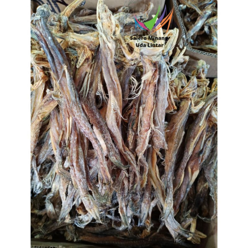 

IKAN BELALANG