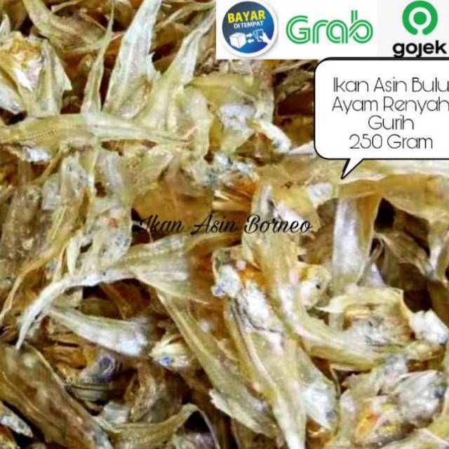 

Ikan Asin Bulu Ayam Super 250 Gram