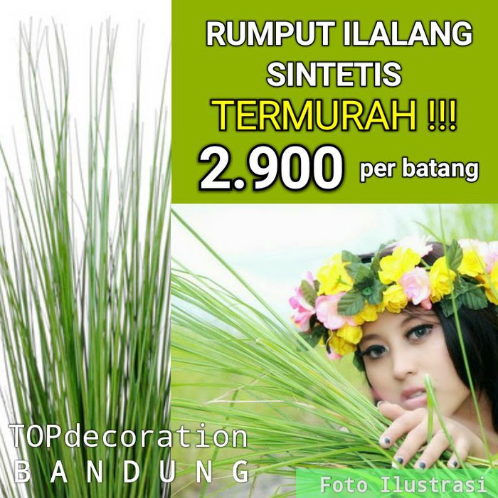 Jual Rumput Ilalang Sintetis Berkualitas