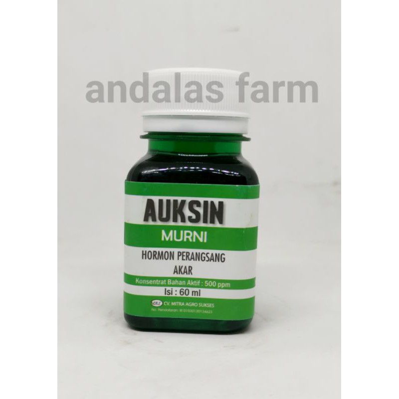 ZPT Auksin Murni @60ml