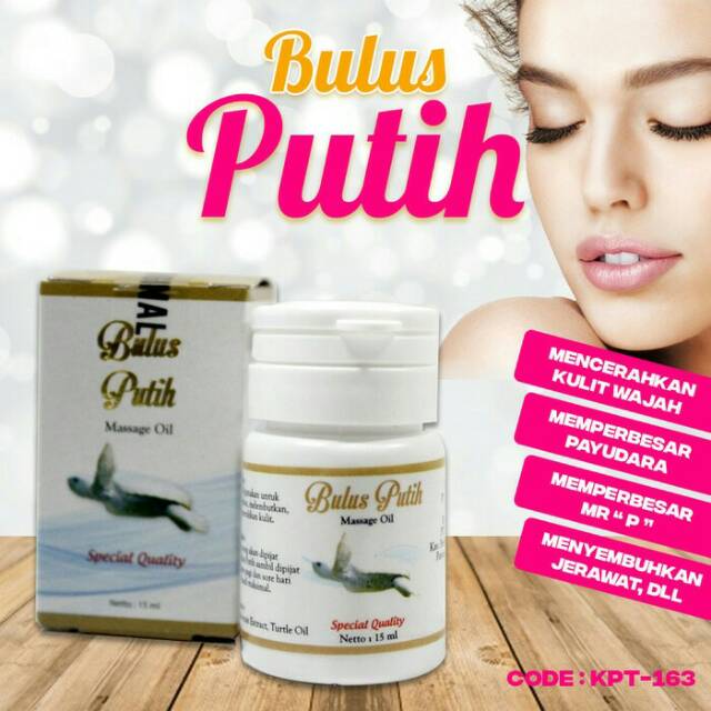 BULUS PUTIH MESSAGE OIL MINYAK BULUS BPOM ORIGINAL